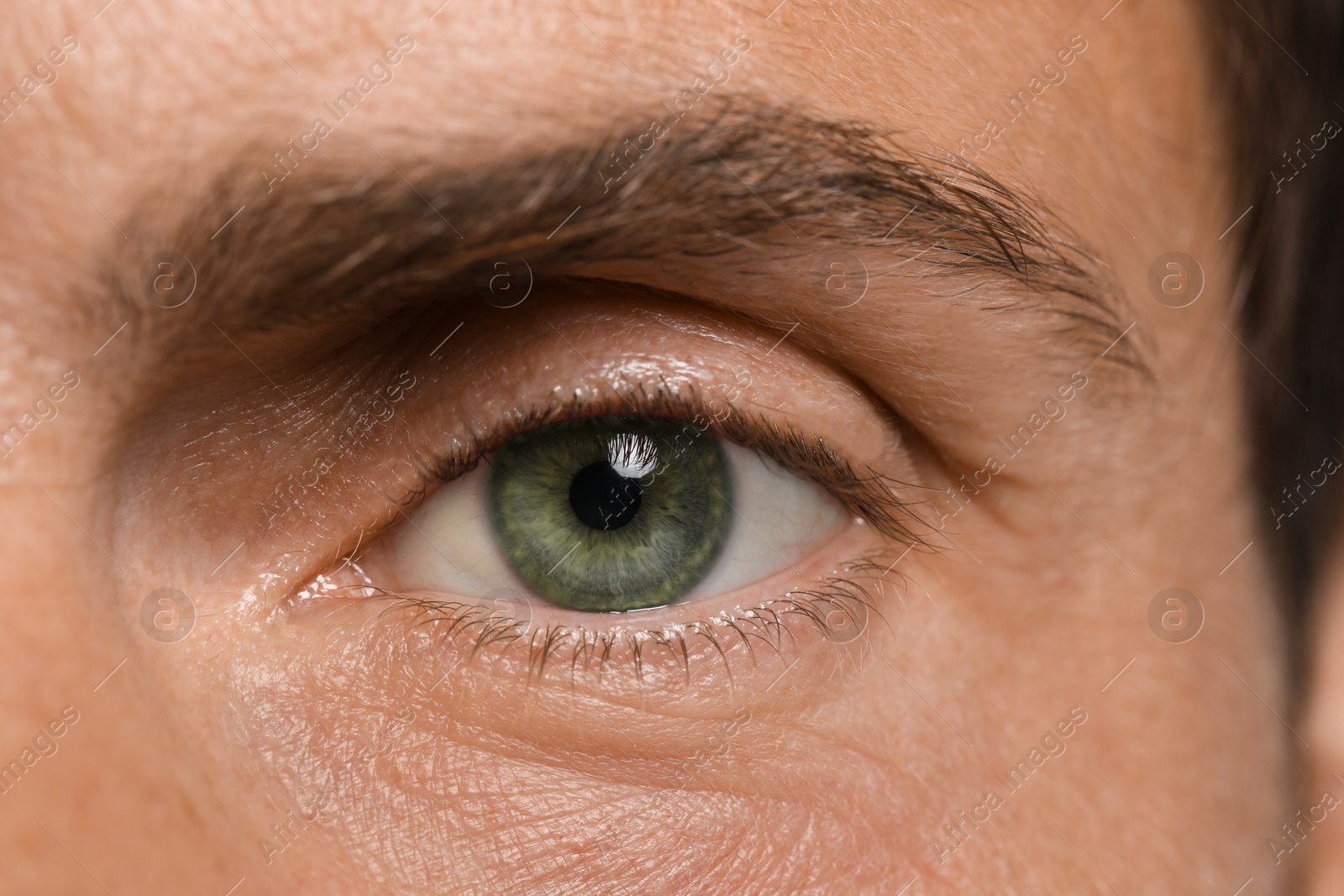 Image of Closeup view of man with green eyes