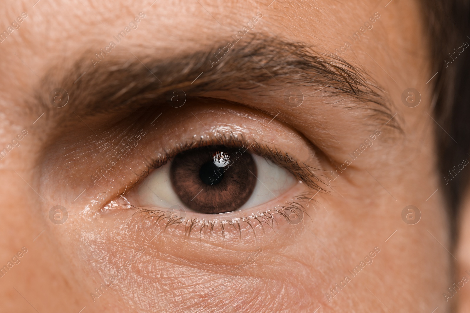 Image of Closeup view of man with brown eyes