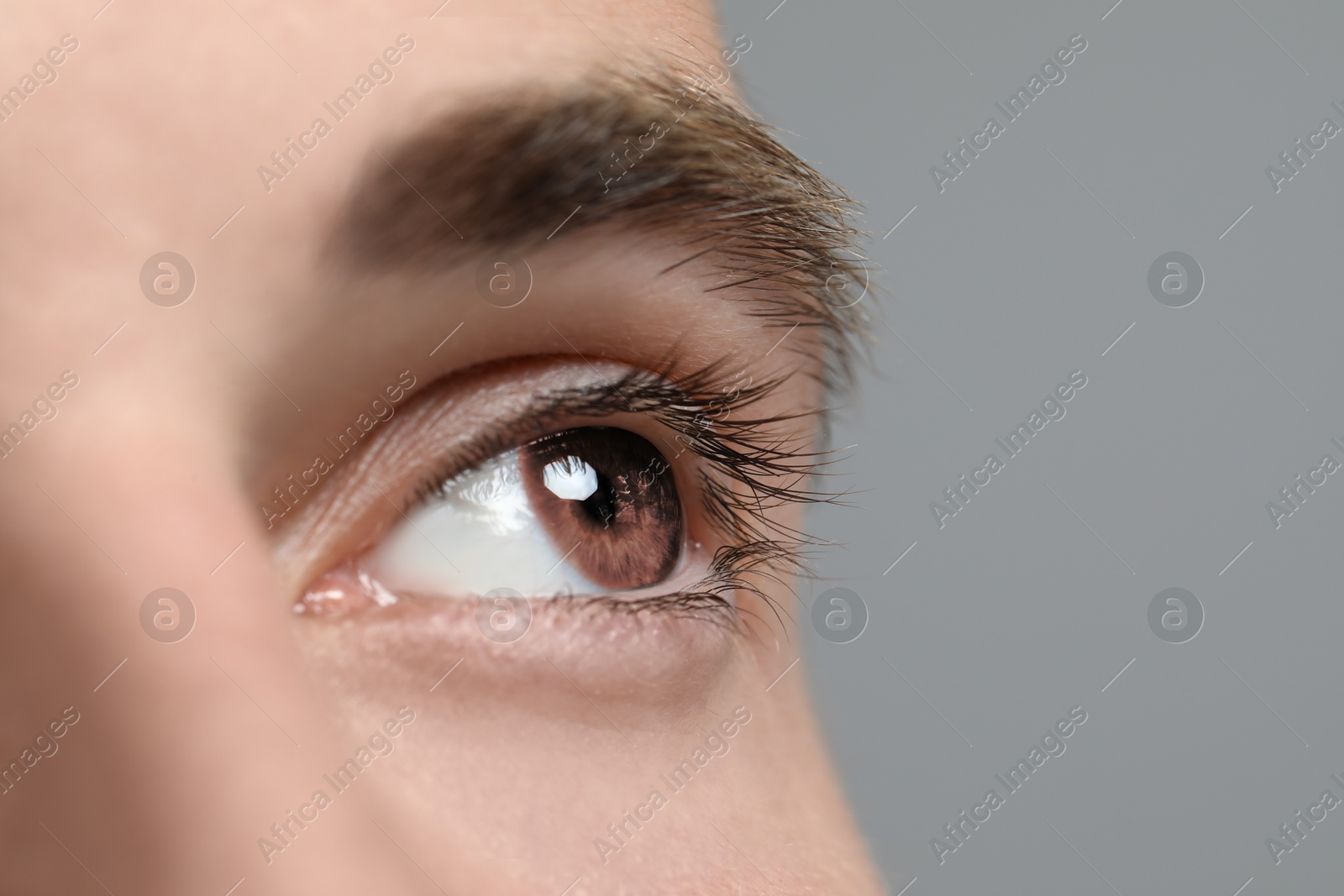 Image of Closeup view of man with brown eyes