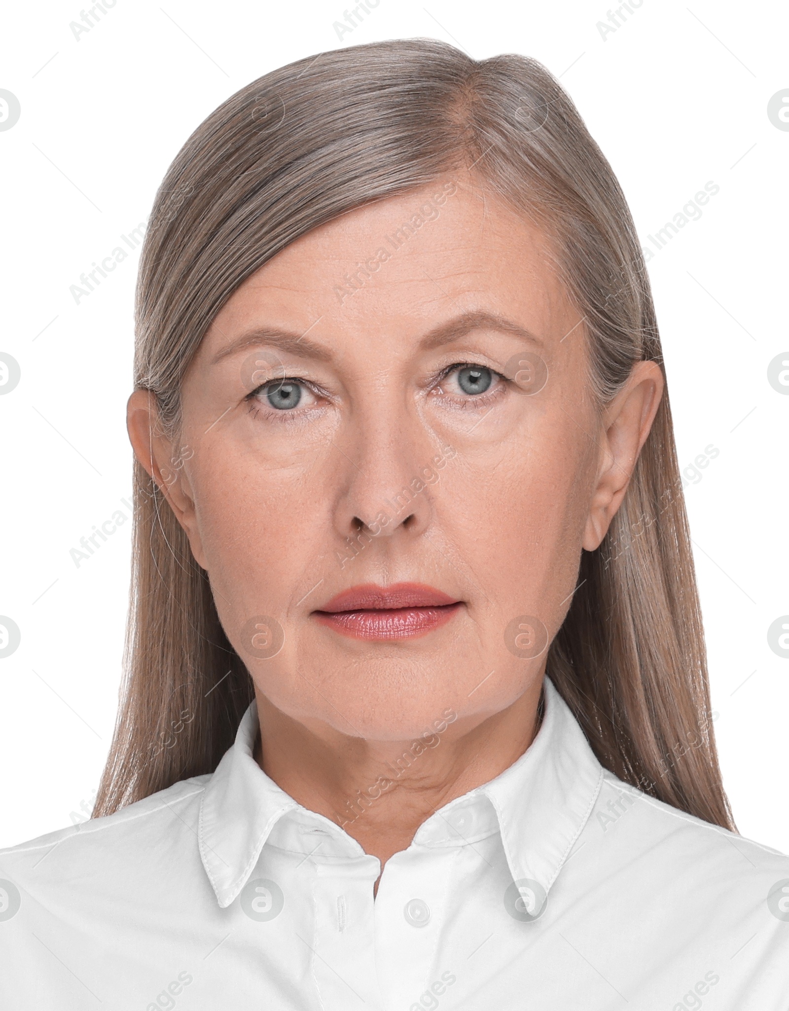 Image of Passport photo. Portrait of woman on white background