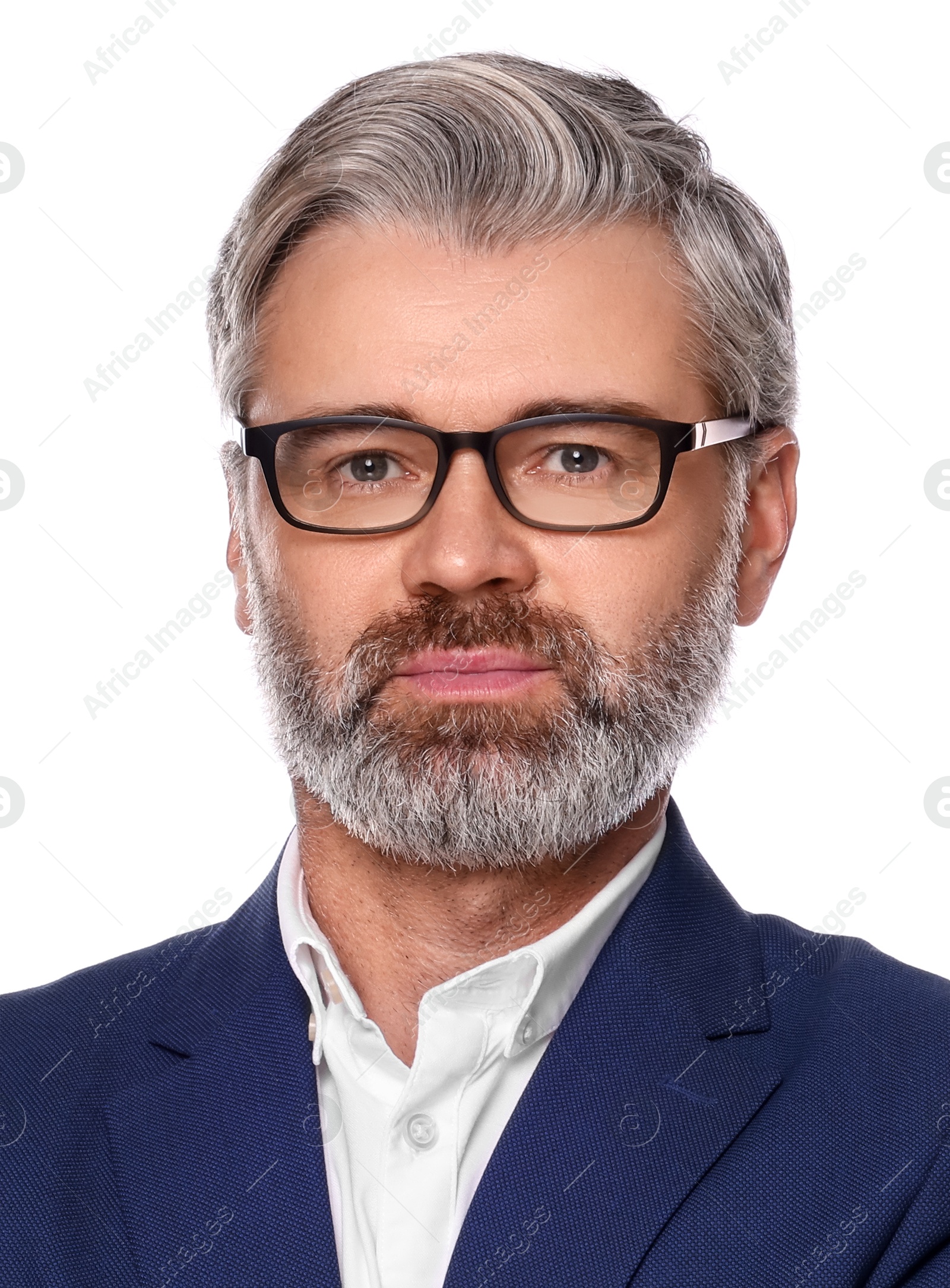 Image of Passport photo. Portrait of man on white background