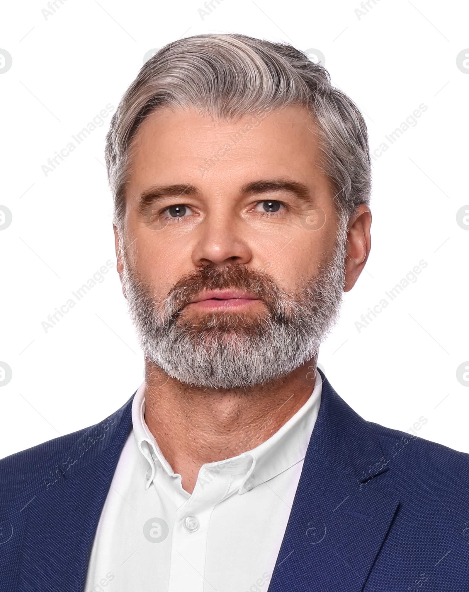 Image of Passport photo. Portrait of man on white background