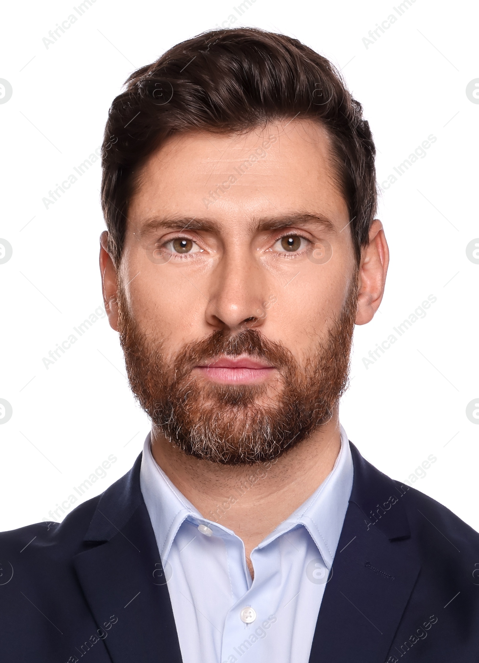 Image of Passport photo. Portrait of man on white background