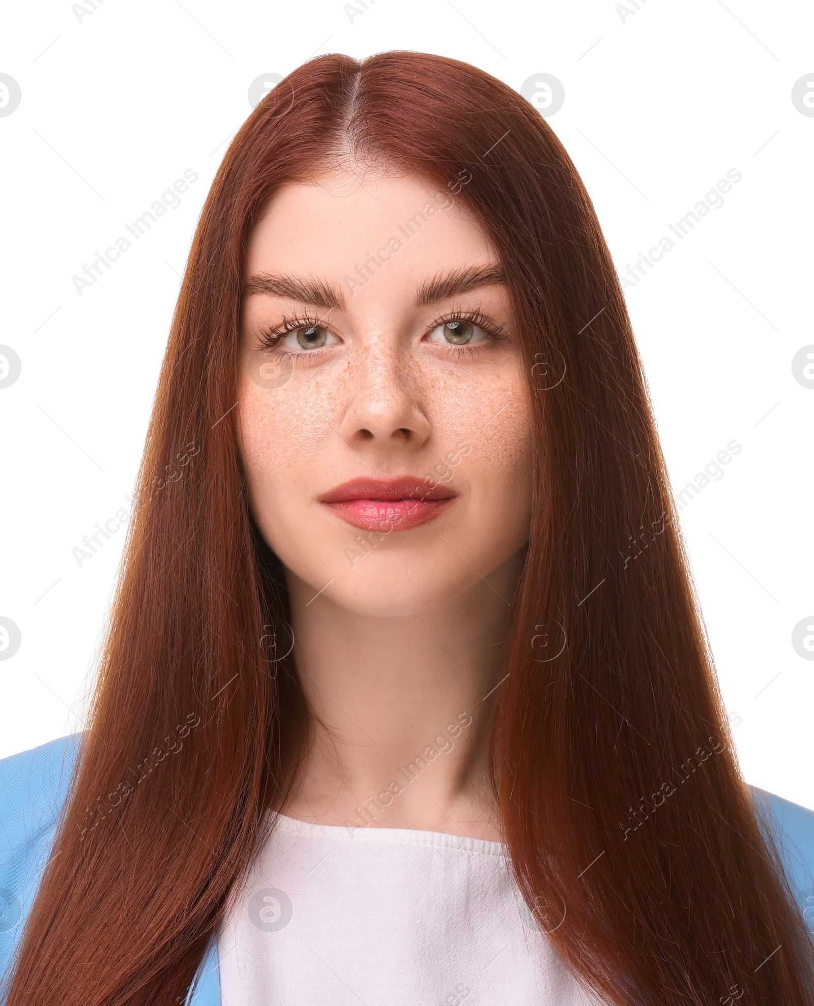 Image of Passport photo. Portrait of woman on white background