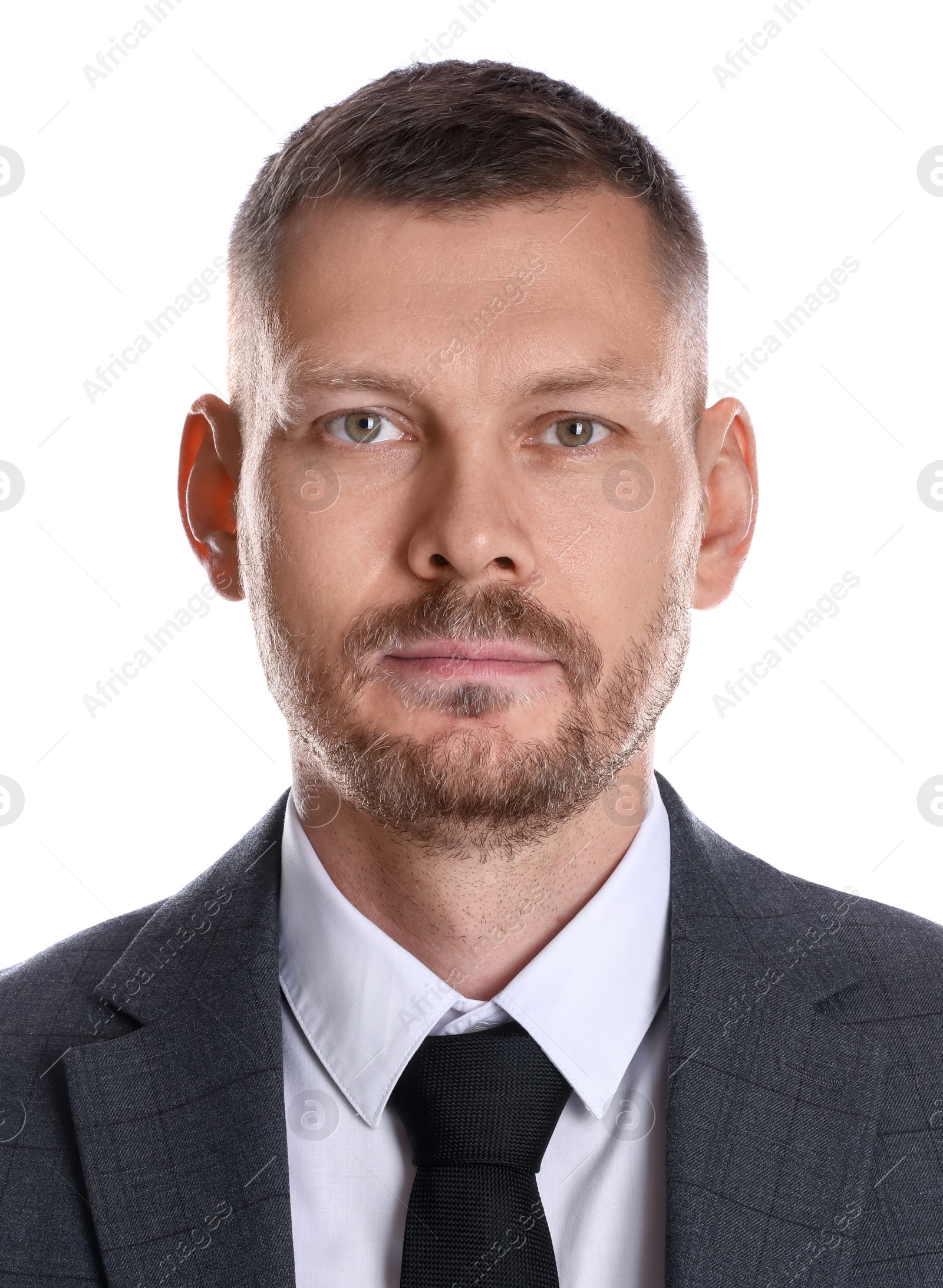 Image of Passport photo. Portrait of man on white background