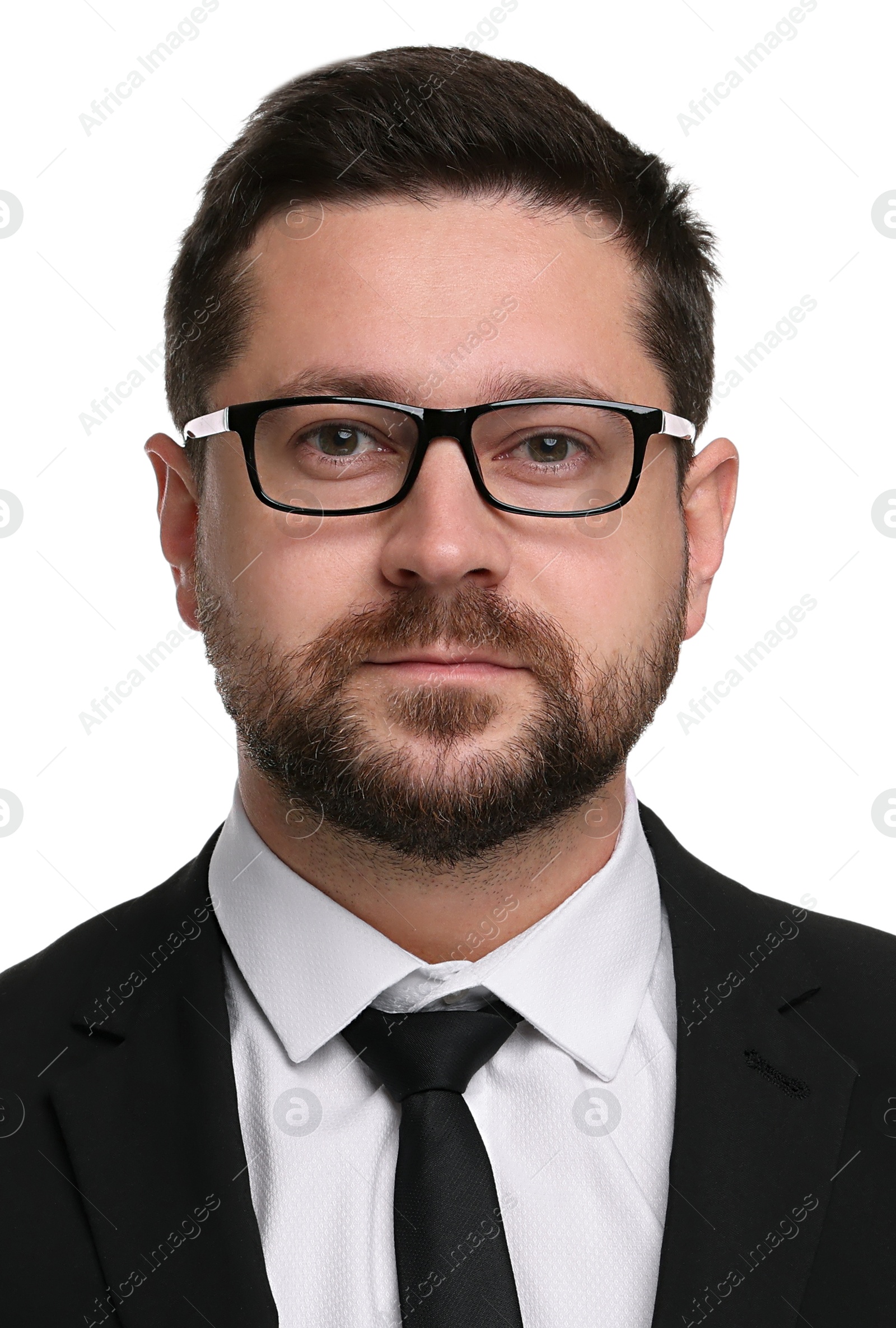 Image of Passport photo. Portrait of man on white background