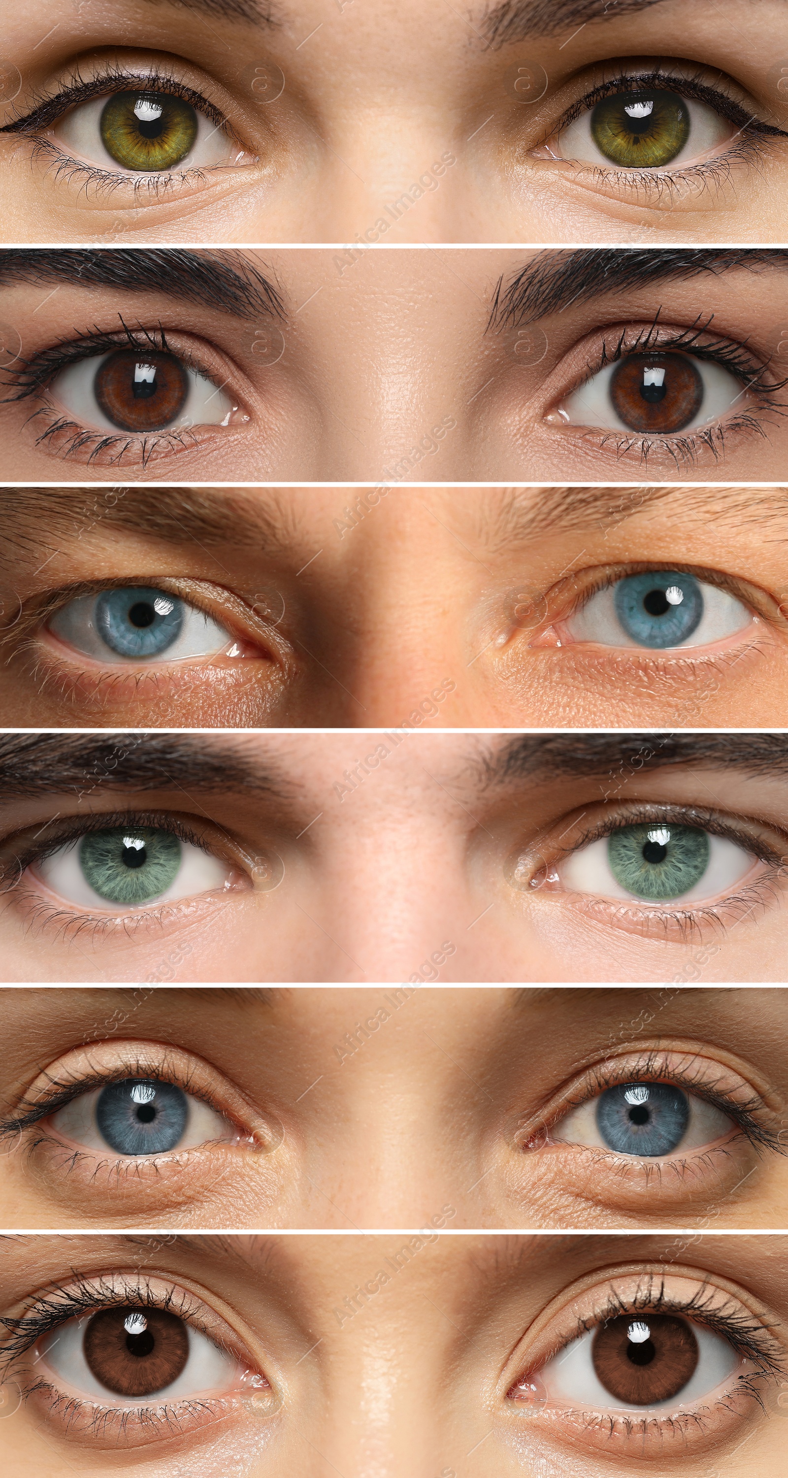 Image of People with eyes of different colors, collage of photos