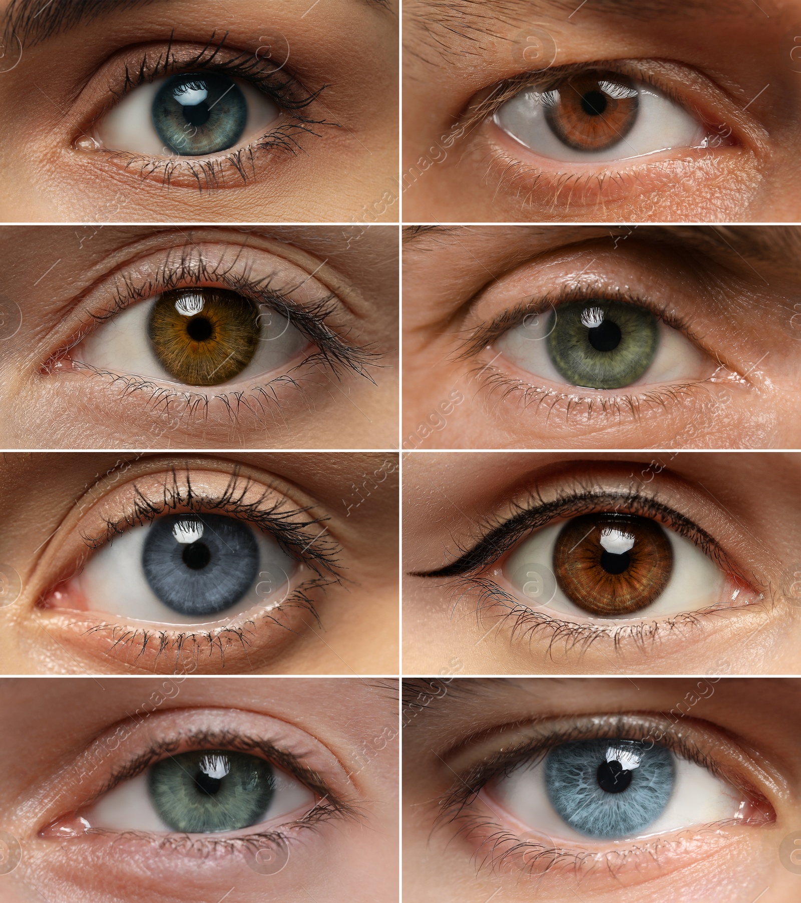 Image of People with eyes of different colors, collage of photos