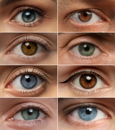 People with eyes of different colors, collage of photos