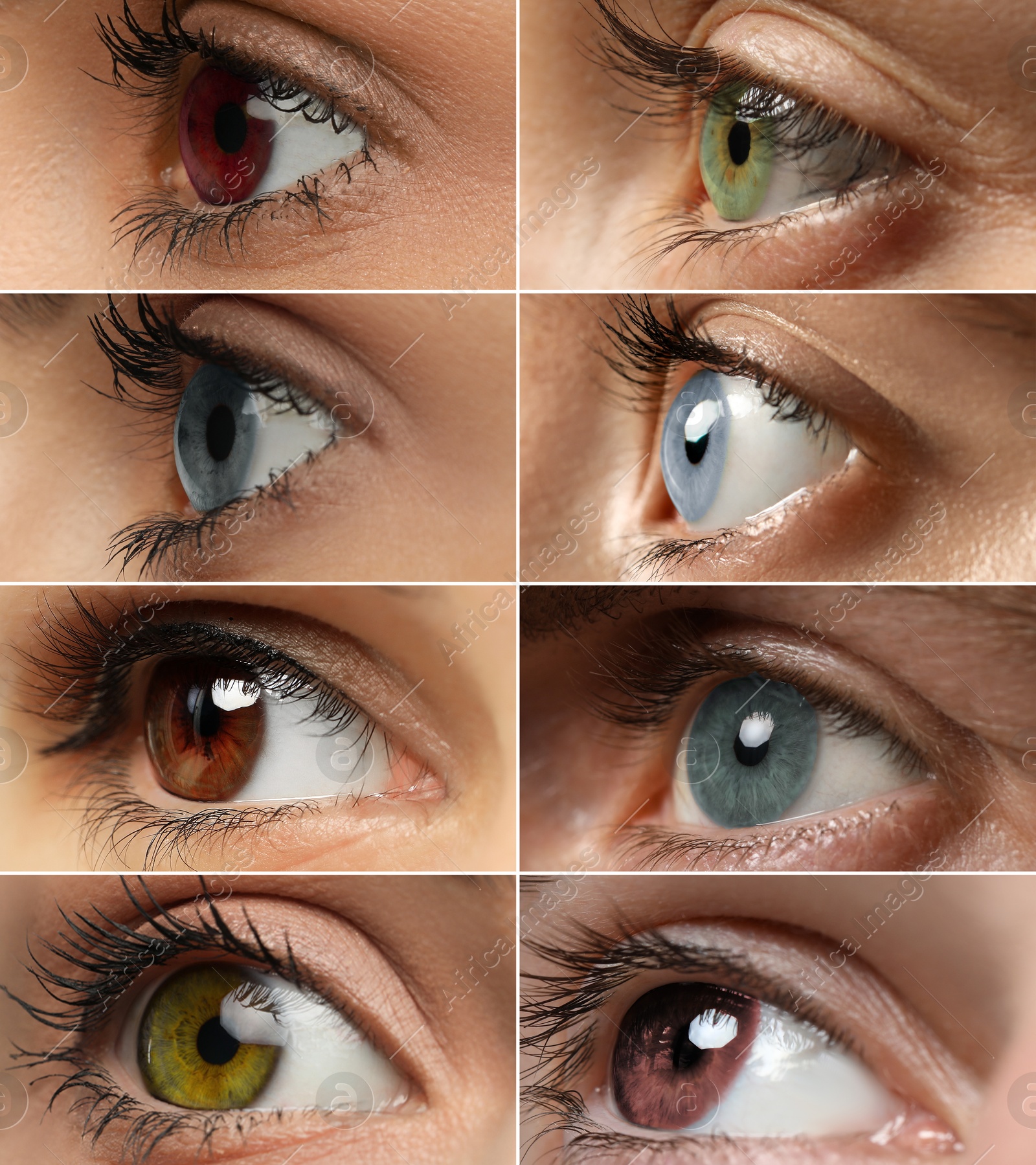 Image of People with eyes of different colors, collage of photos