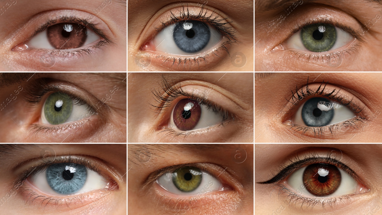 Image of People with eyes of different colors, collage of photos