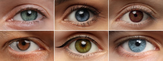 People with eyes of different colors, collage of photos