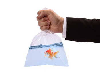 Image of Man holding plastic bag with fish and water isolated on white, closeup