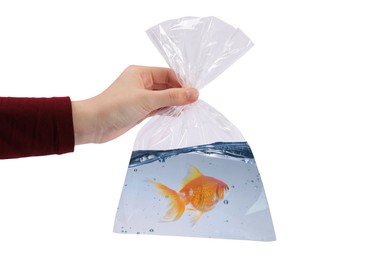 Woman holding plastic bag with fish and water isolated on white, closeup