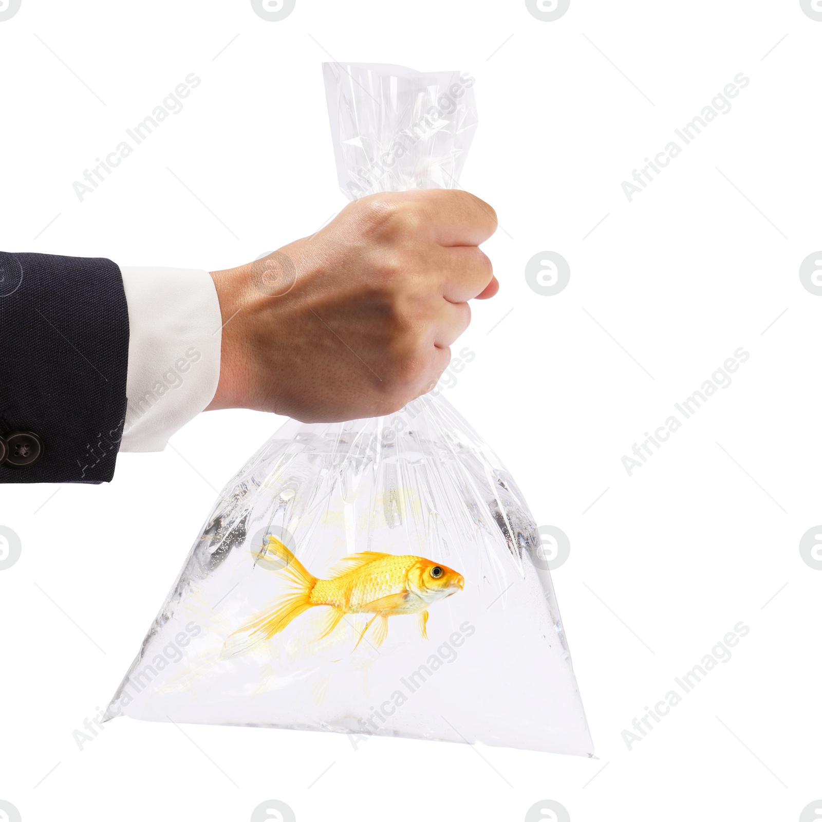 Image of Woman holding plastic bag with fish and water isolated on white, closeup