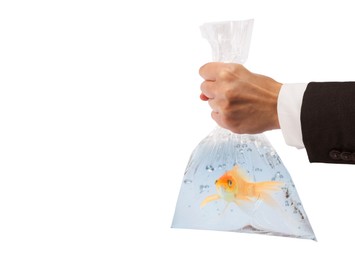 Image of Woman holding plastic bag with fish and water isolated on white, closeup