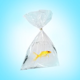 Image of Fish and water in plastic bag on light blue gradient background