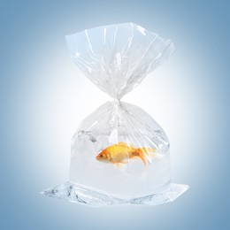 Image of Fish and water in plastic bag on light blue gradient background