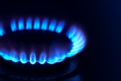 Image of Gas burner with blue flame on stove, closeup