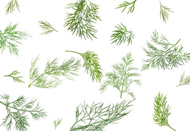 Image of Fresh green dill in air on white background