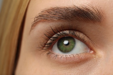 Closeup view of woman with green eyes