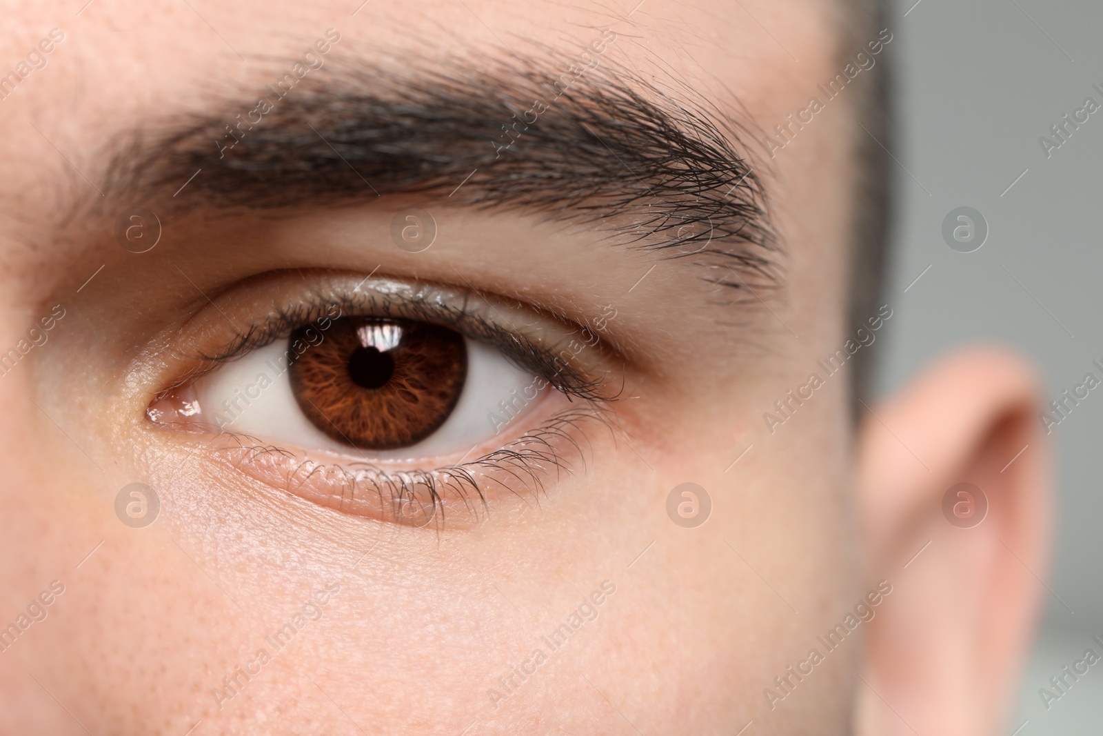 Image of Closeup view of man with brown eyes