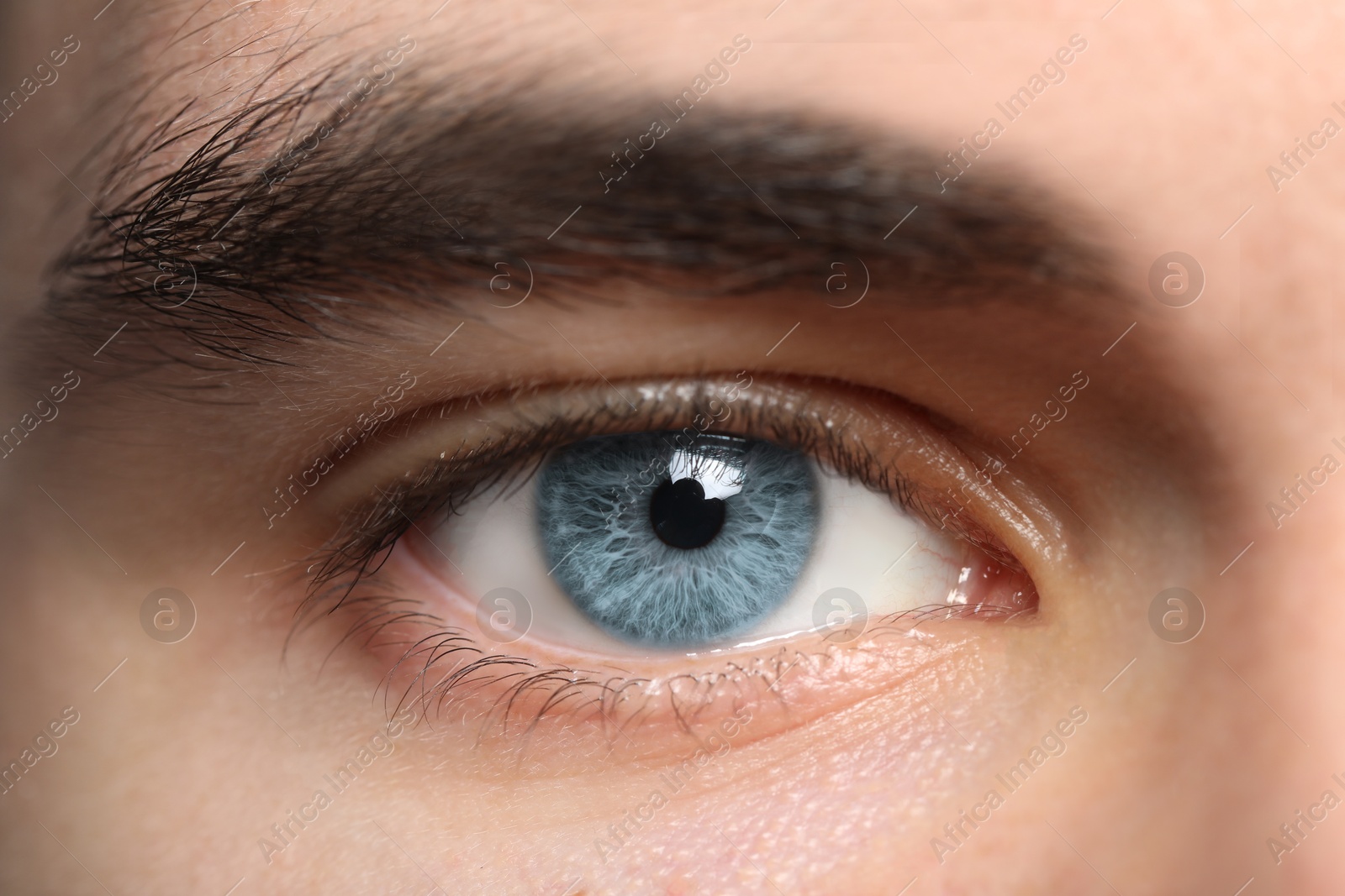 Image of Closeup view of man with blue eyes