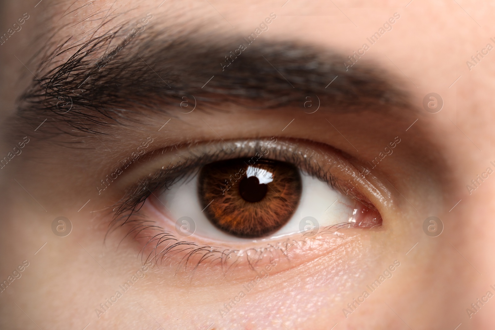 Image of Closeup view of man with brown eyes