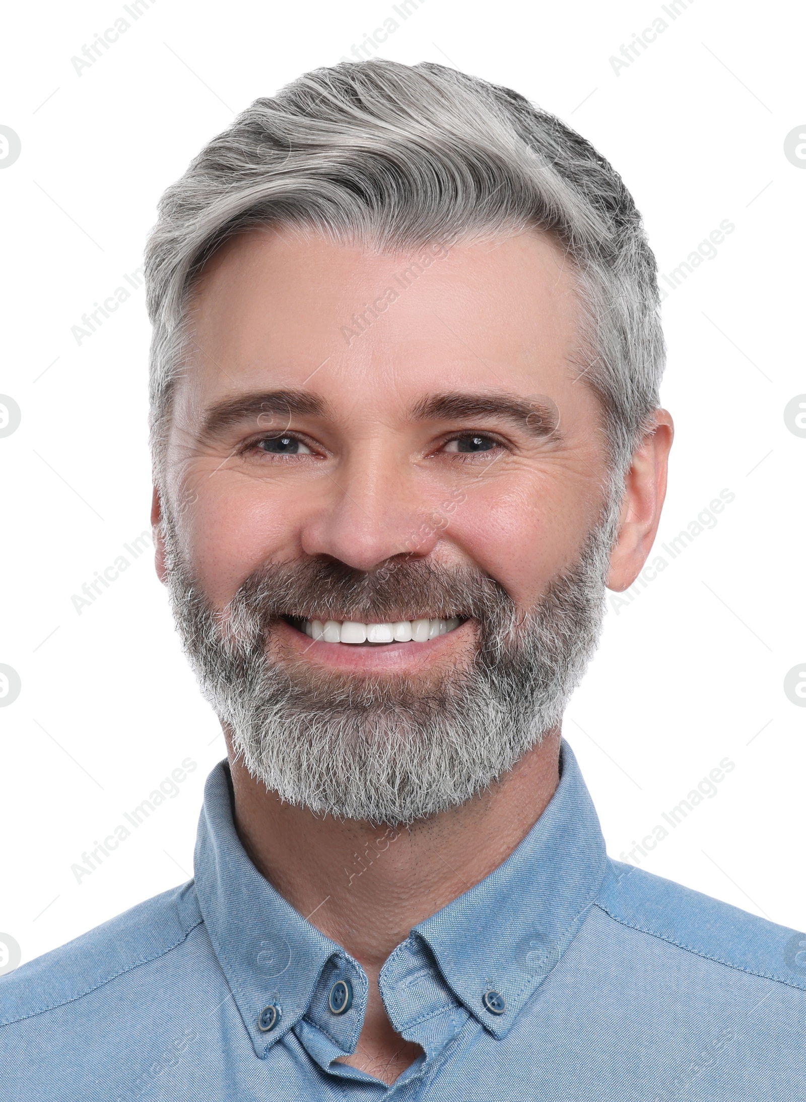 Image of Passport photo. Portrait of man on white background