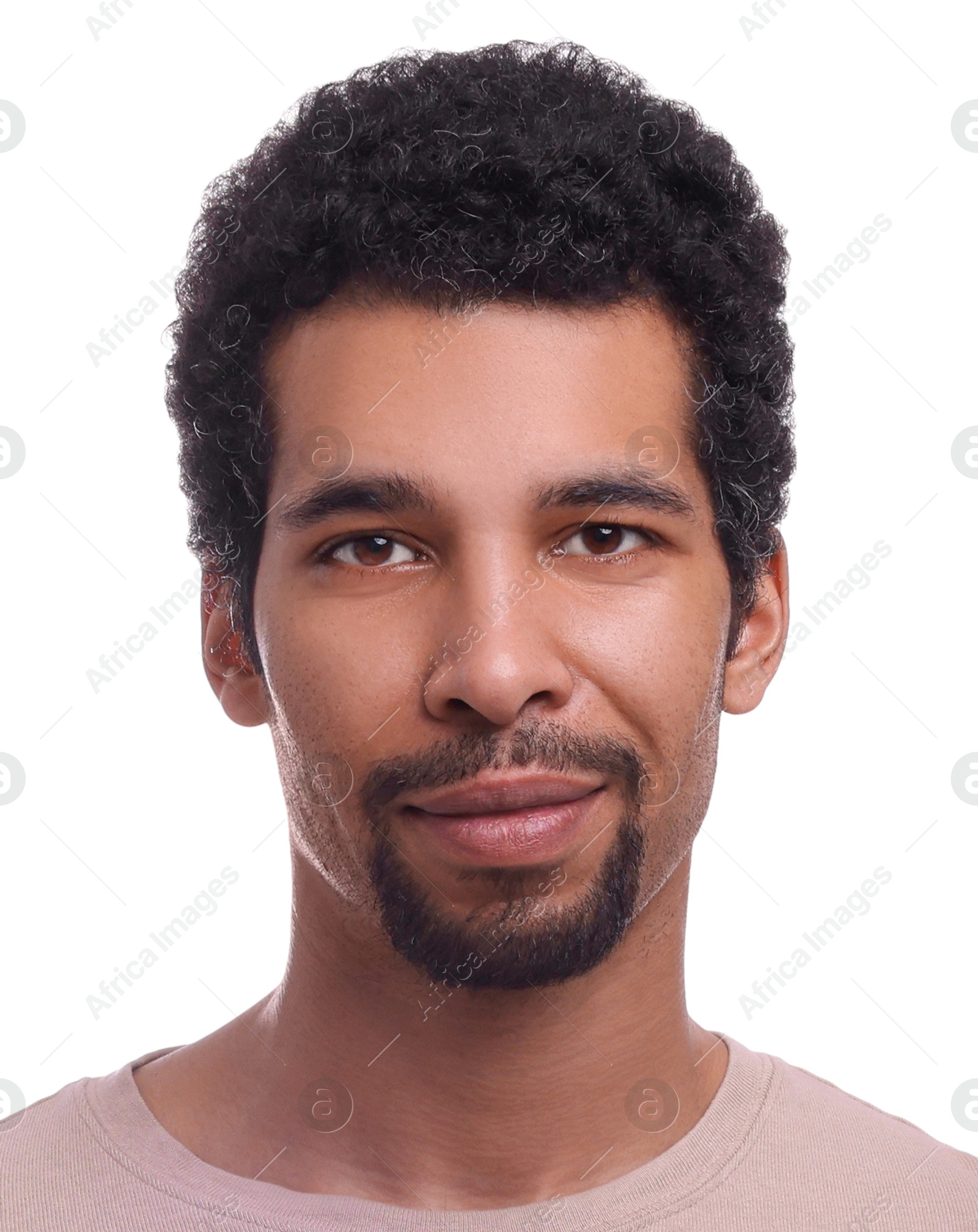 Image of Passport photo. Portrait of man on white background