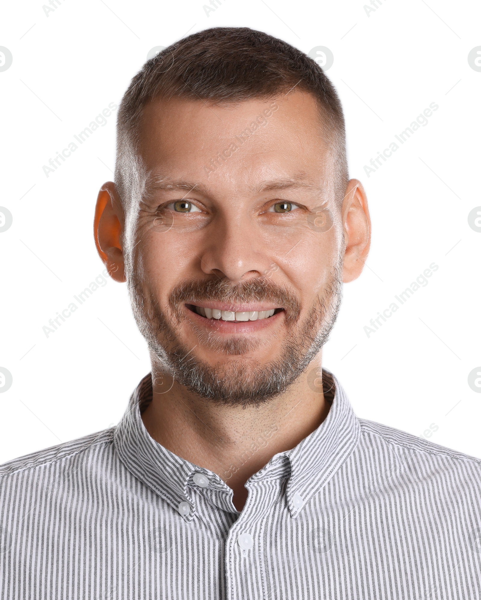 Image of Passport photo. Portrait of man on white background