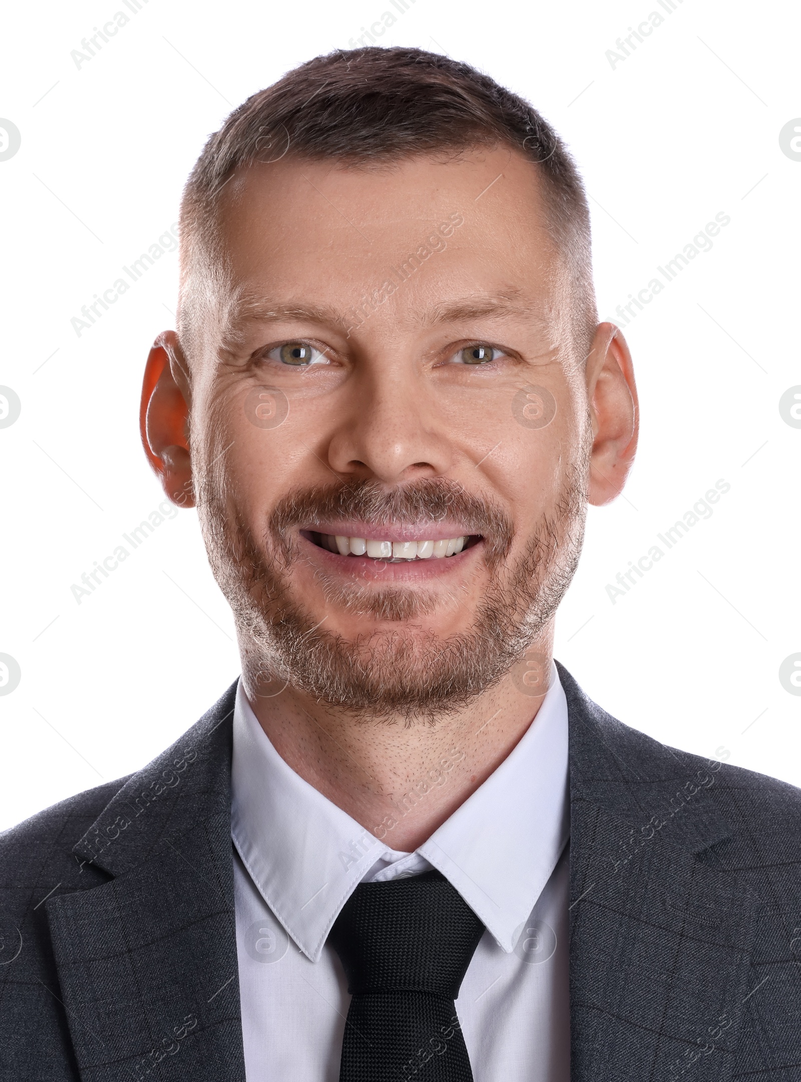 Image of Passport photo. Portrait of man on white background