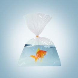 Fish and water in plastic bag on light blue gradient background