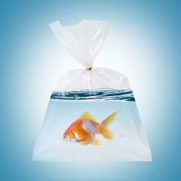 Image of Fish and water in plastic bag on light blue gradient background