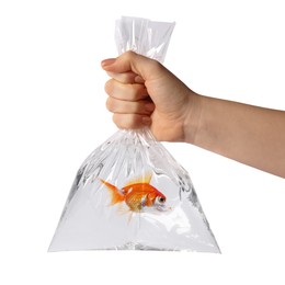 Woman holding plastic bag with fish and water isolated on white, closeup