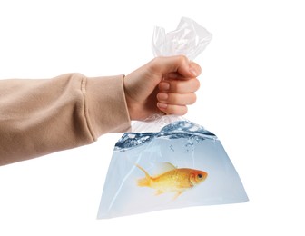 Image of Woman holding plastic bag with fish and water isolated on white, closeup