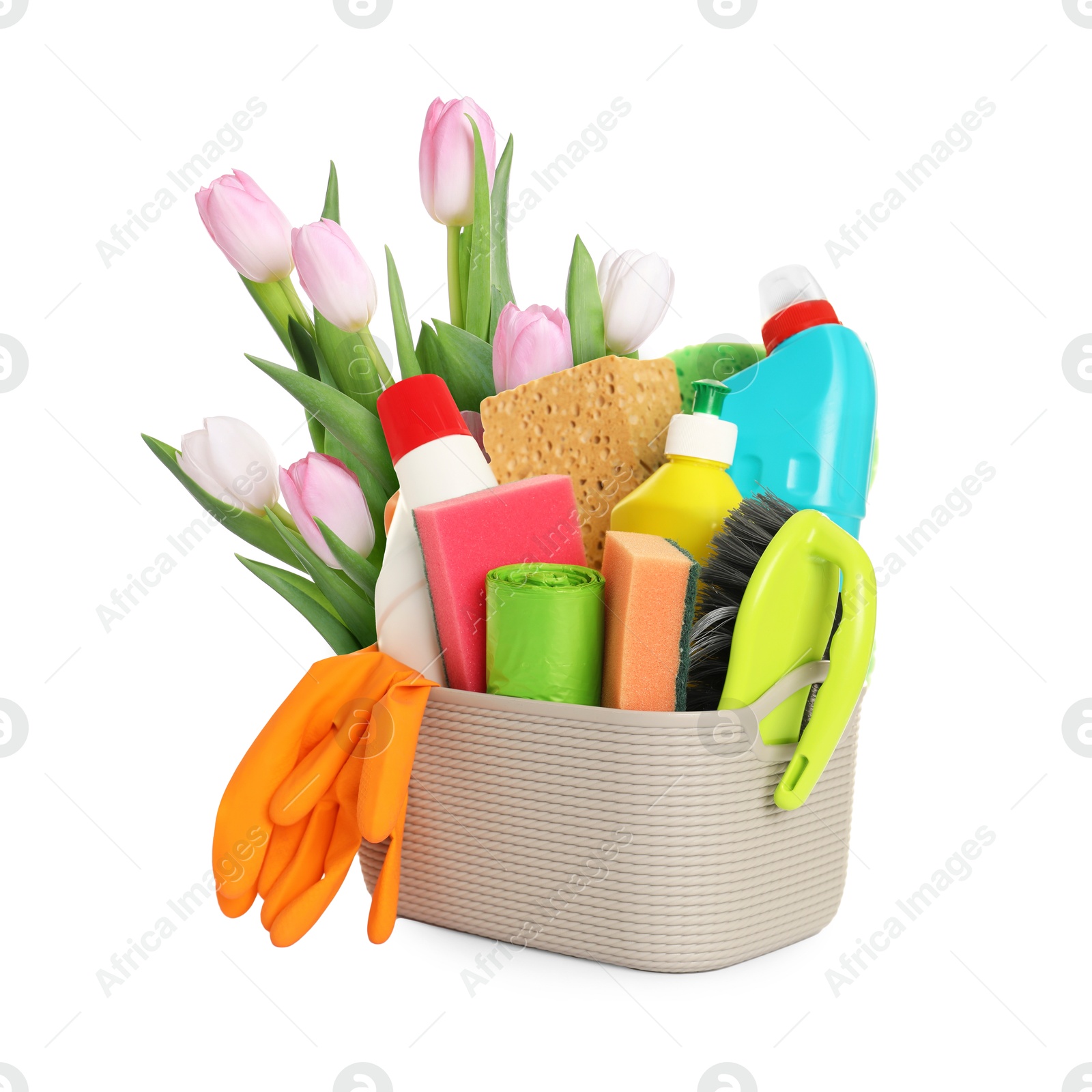 Image of Spring cleaning. Basket with detergents, supplies and tulips on white background