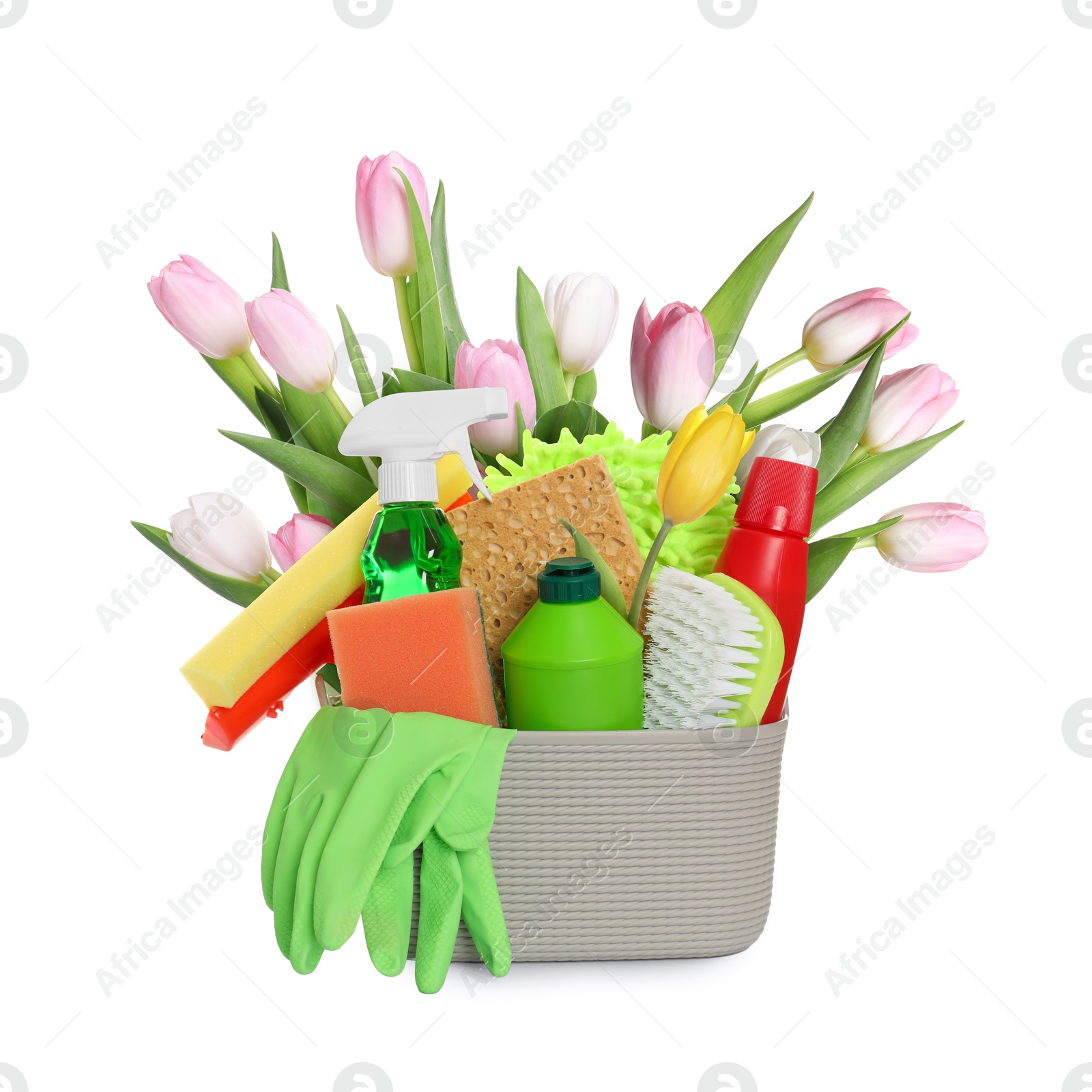 Image of Spring cleaning. Basket with detergents, supplies and tulips on white background