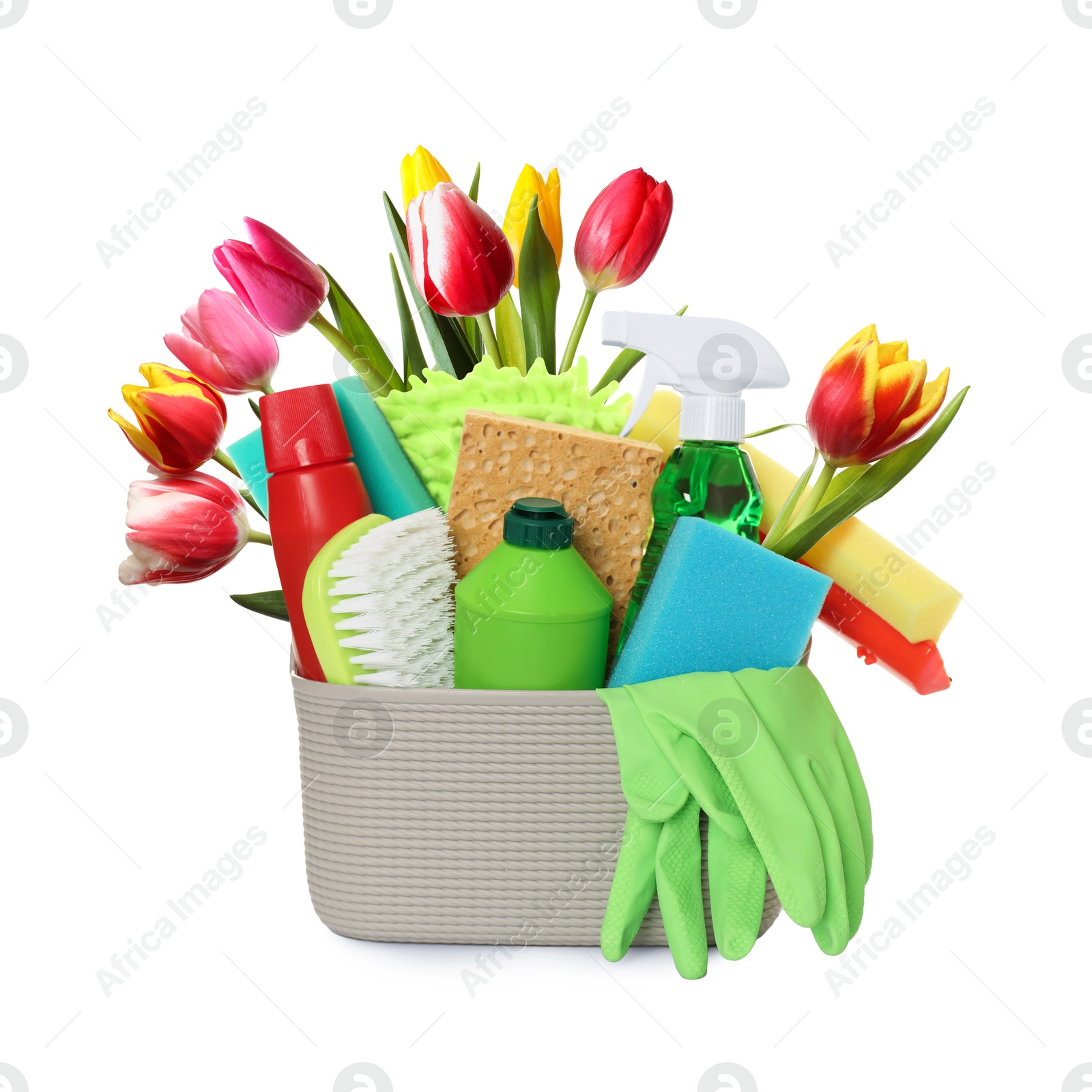 Image of Spring cleaning. Basket with detergents, supplies and tulips on white background