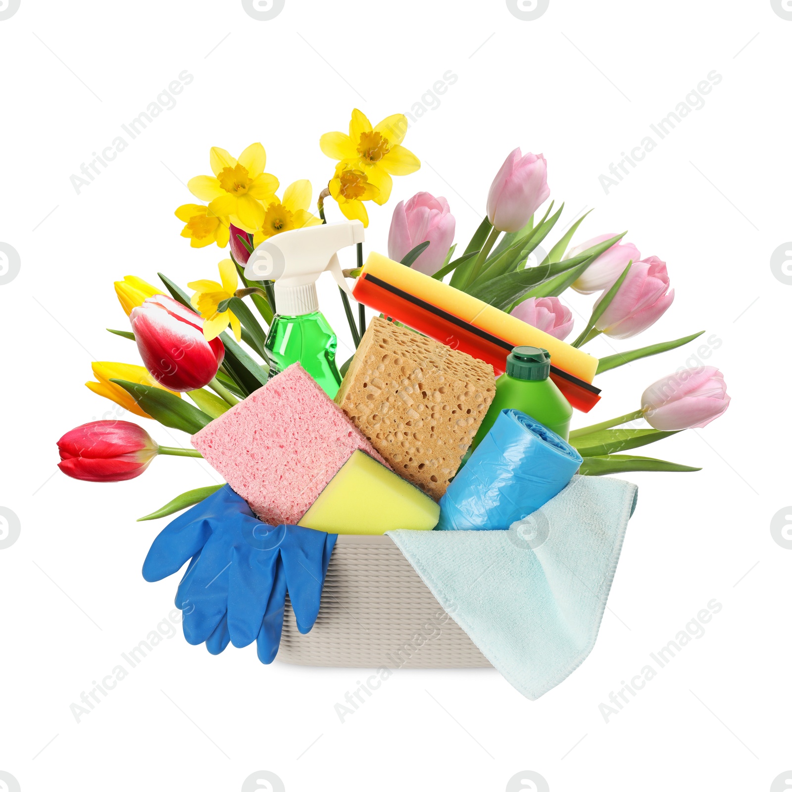 Image of Spring cleaning. Basket with detergents, supplies and flowers on white background