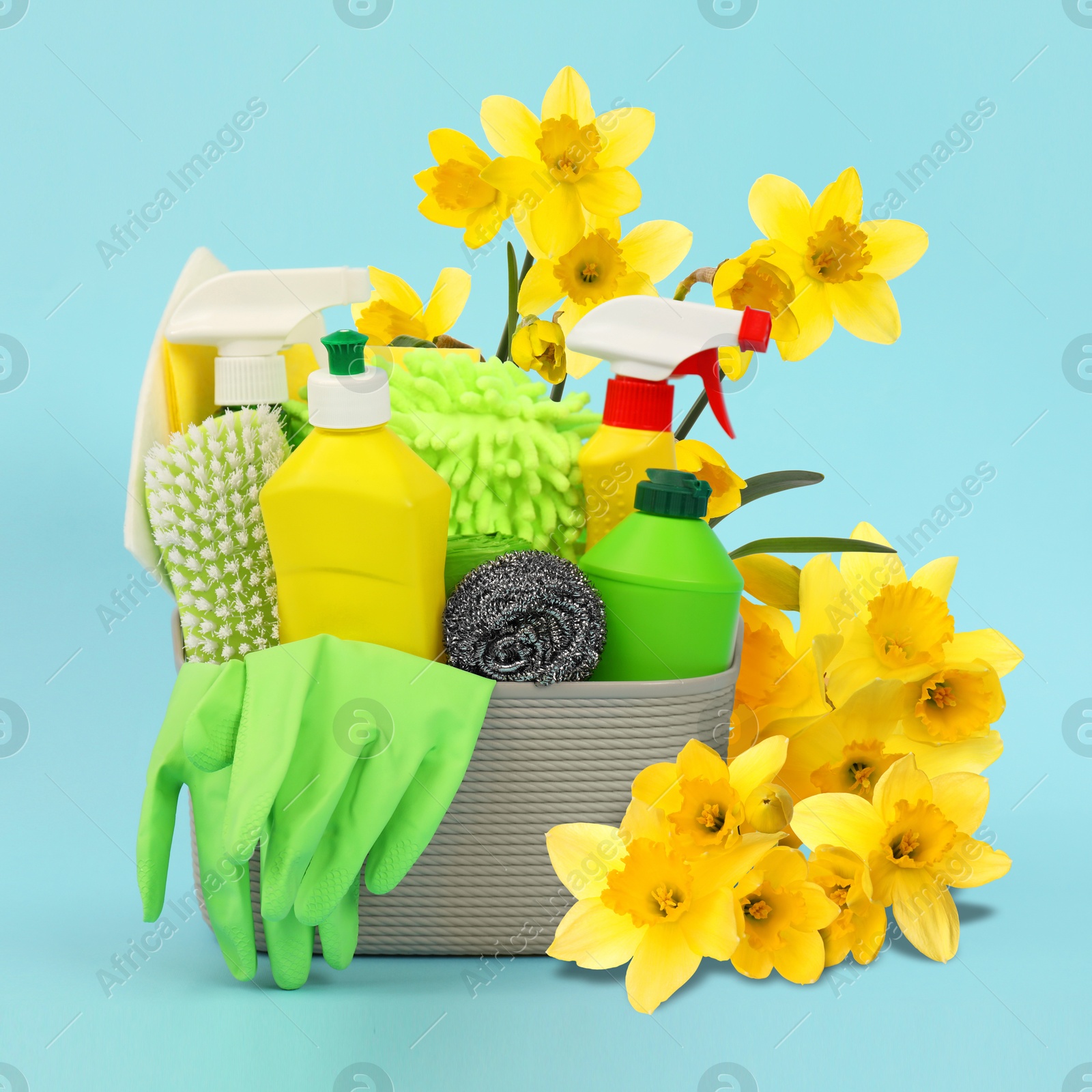 Image of Spring cleaning. Basket with detergents, supplies and daffodils on light blue background