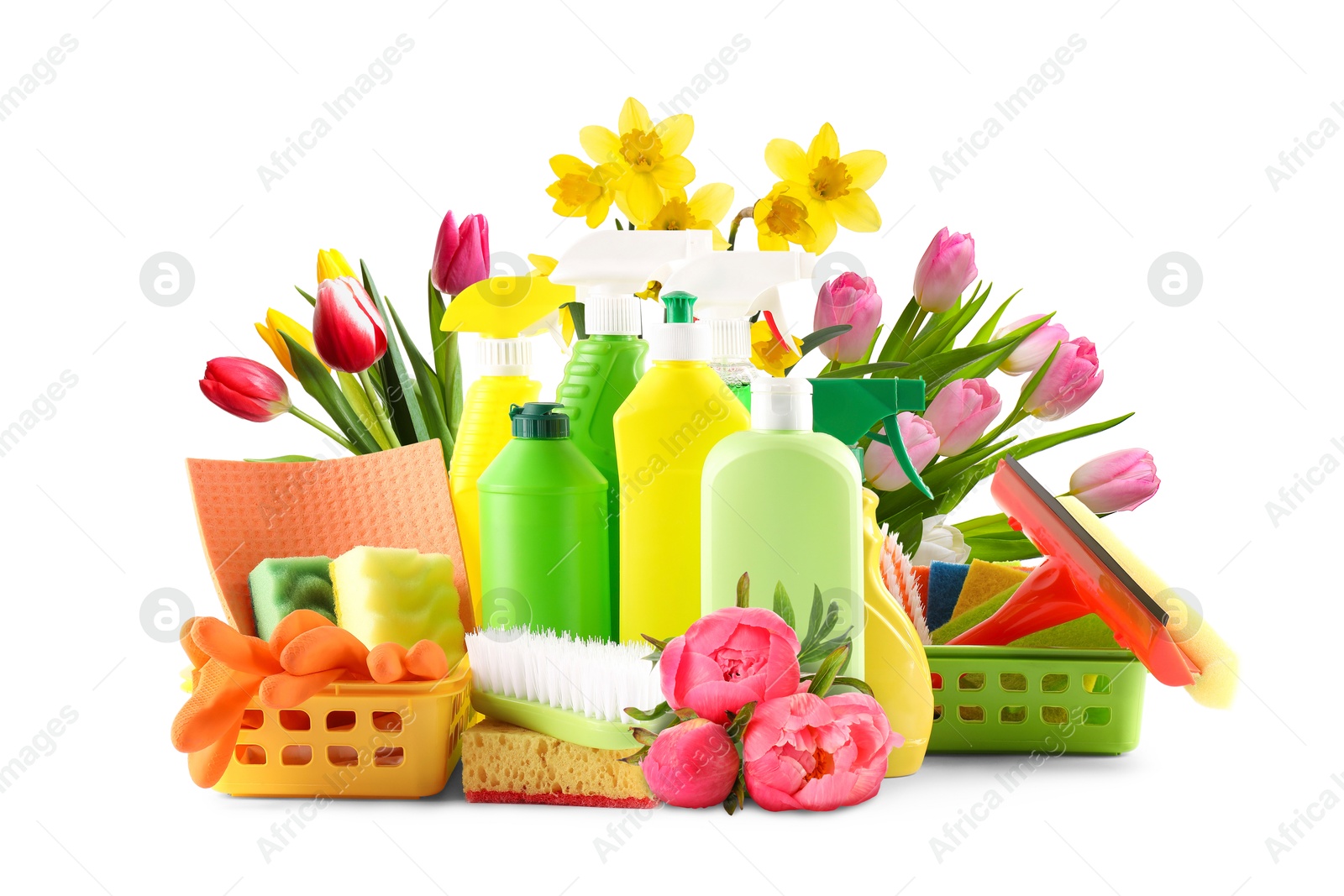 Image of Spring cleaning. Detergents, supplies and flowers on white background