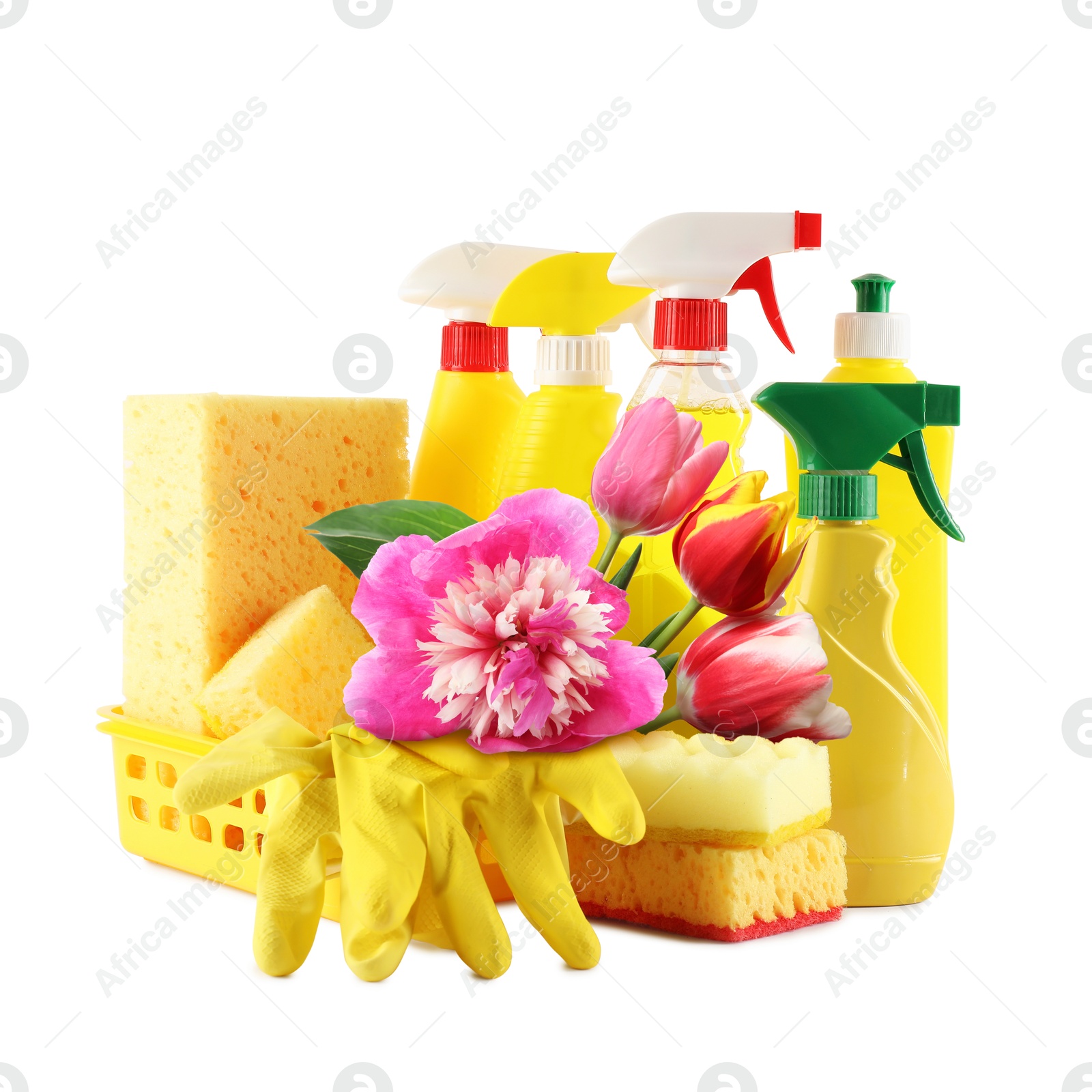 Image of Spring cleaning. Detergents, supplies and flowers on white background