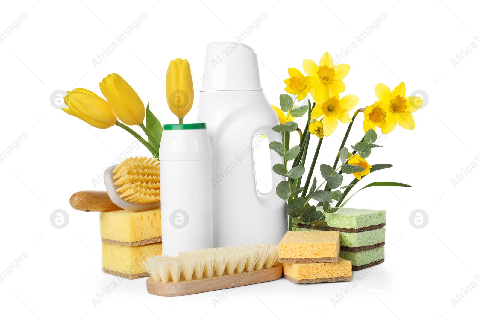 Image of Spring cleaning. Detergents, supplies and flowers on white background