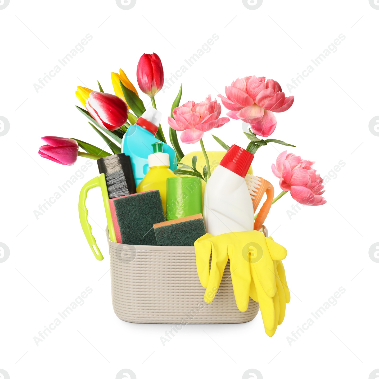 Image of Spring cleaning. Basket with detergents, supplies and flowers on white background