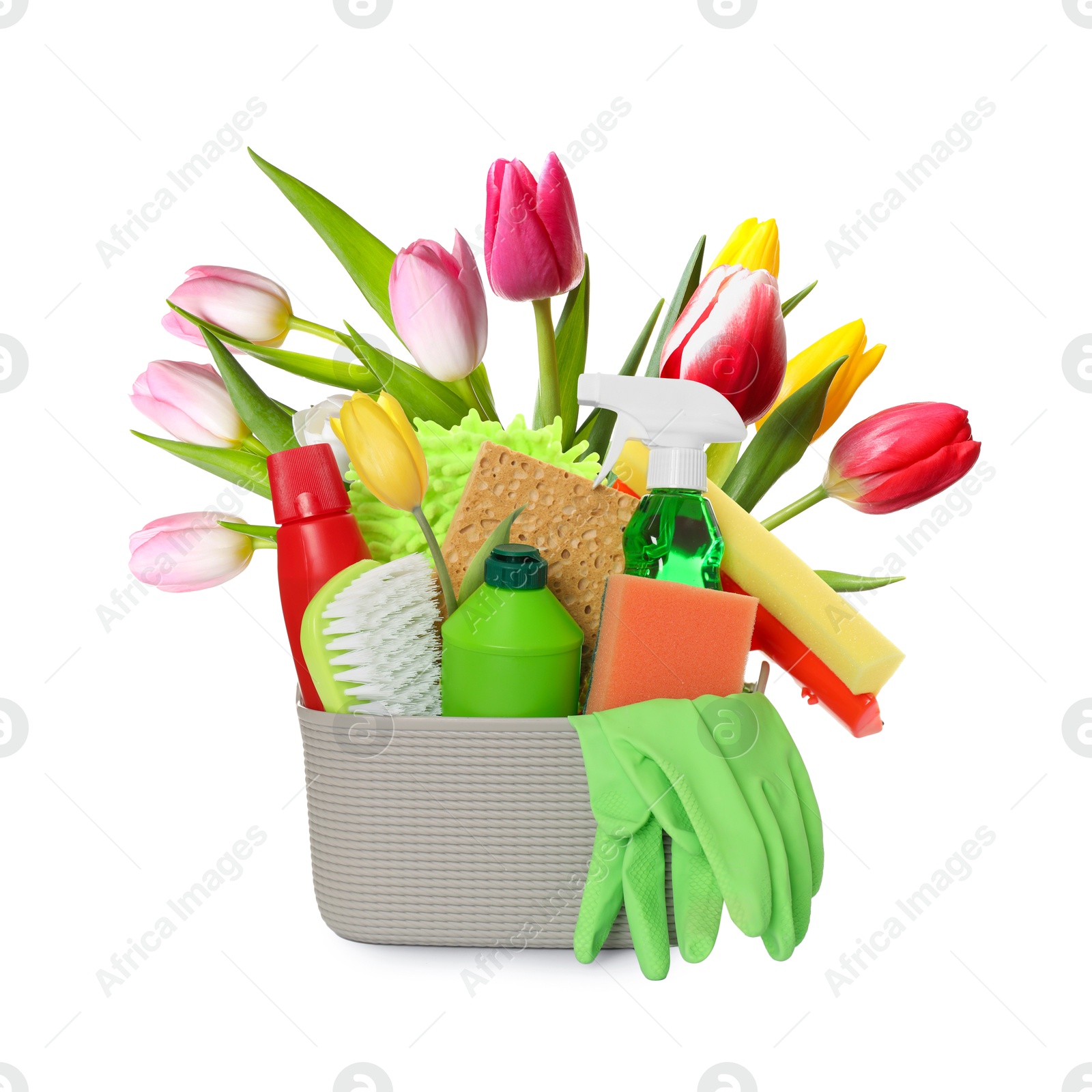 Image of Spring cleaning. Basket with detergents, supplies and tulips on white background