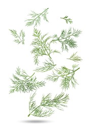 Image of Fresh green dill falling on white background