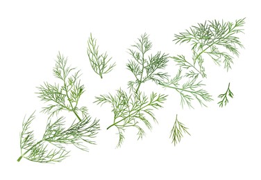 Image of Fresh green dill in air on white background