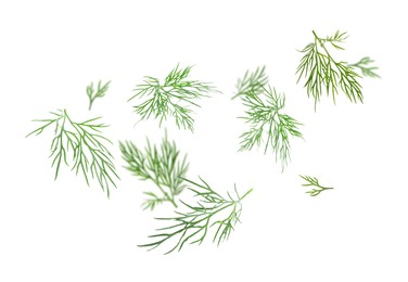 Image of Fresh green dill in air on white background