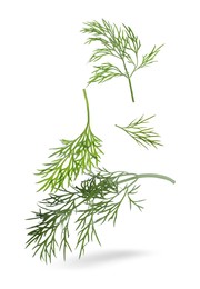 Image of Fresh green dill falling on white background